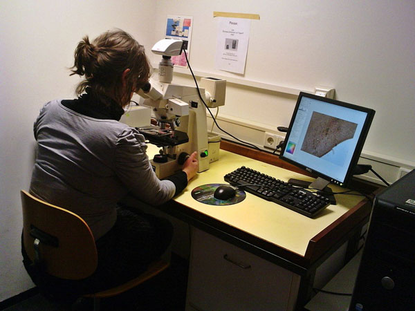 Upright fluorescence microscope Zeiss Axioskop